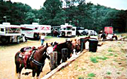 horseback riding