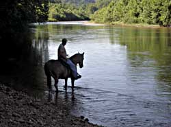 horseback riding