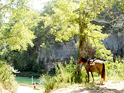 horseback riding