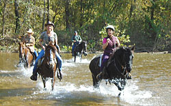 horseback riding